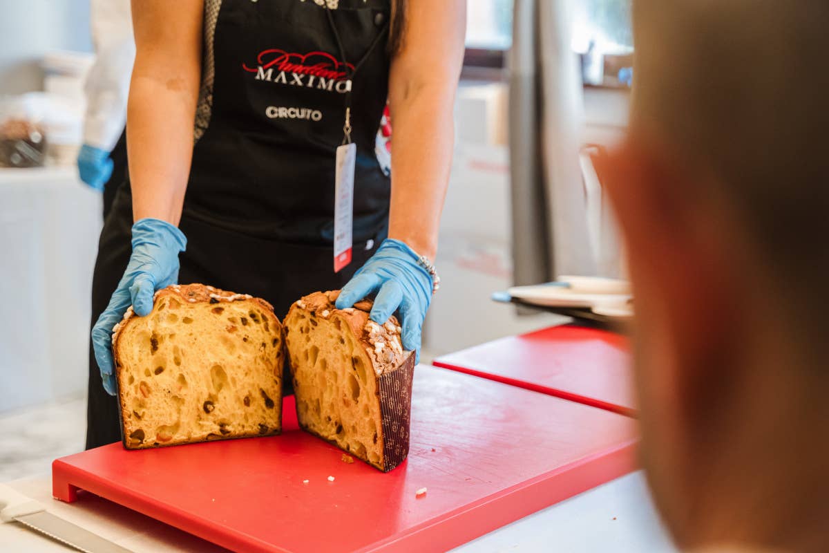 Panettone Maximo: 45 pasticcerie pronte a sfidarsi per il miglior dolce artigianale