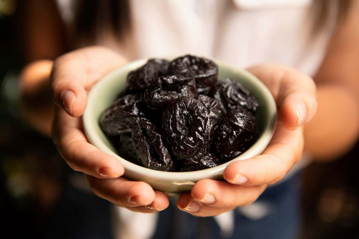 California Prune Board: ricerca e sostenibilità per il futuro delle prugne secche Prugne secche la sfida del futuro parte dalla ricerca genetica in California