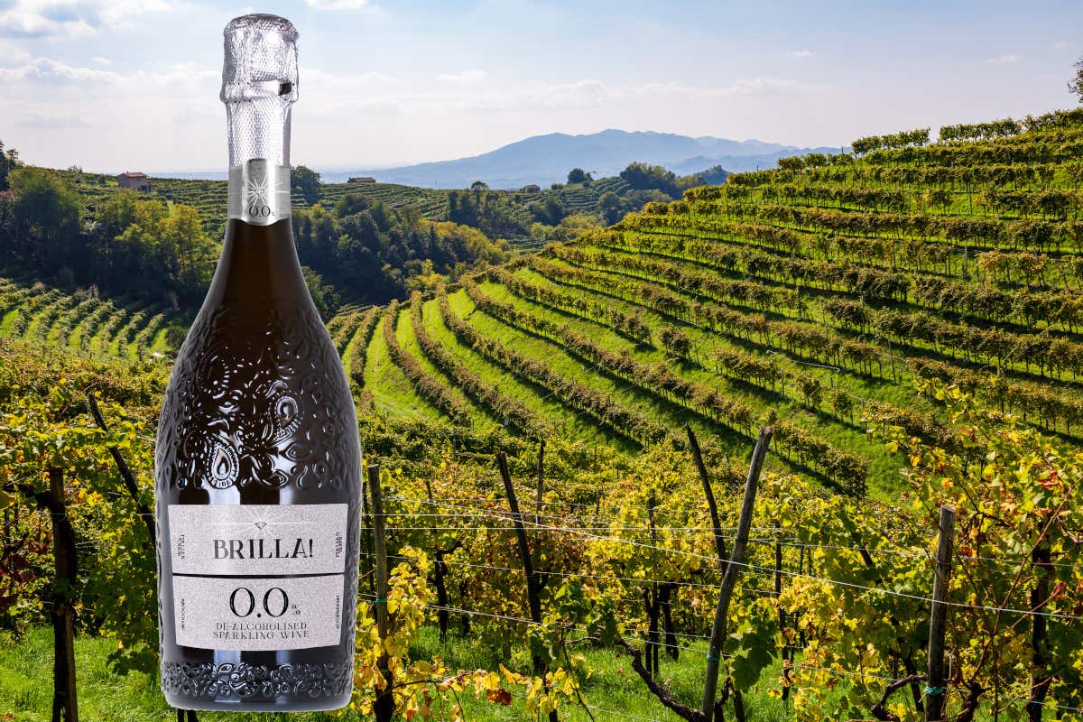 Brilla!: il design italiano nel calice