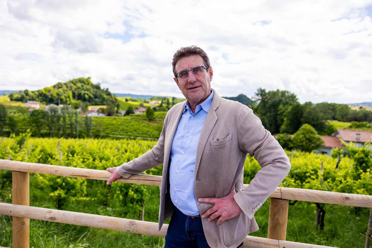 Conegliano Valdobbiadene, clima e maturazione: vendemmia 2025 promettente