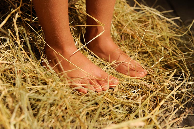 Barefooting, un toccasana per la salute Percorsi ad hoc sulle Dolomiti