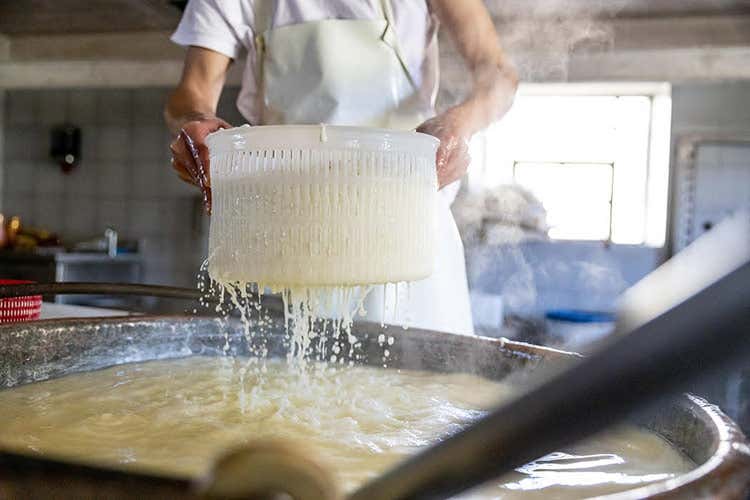 Una trazione casearia antica di montagna Una trazione casearia antica di montagna