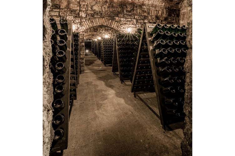 Berlucchi chiama Moreno Cedroni E ricrea atmosfere anni sessanta