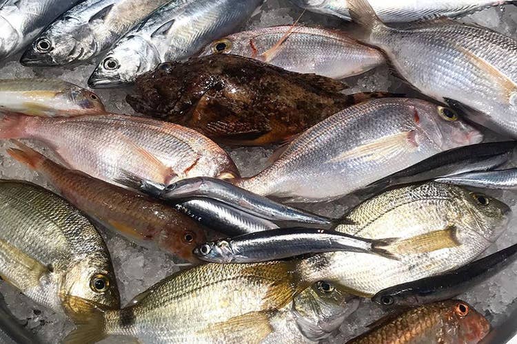 Bluu a Nocera Inferiore Trionfo del mare in tavola