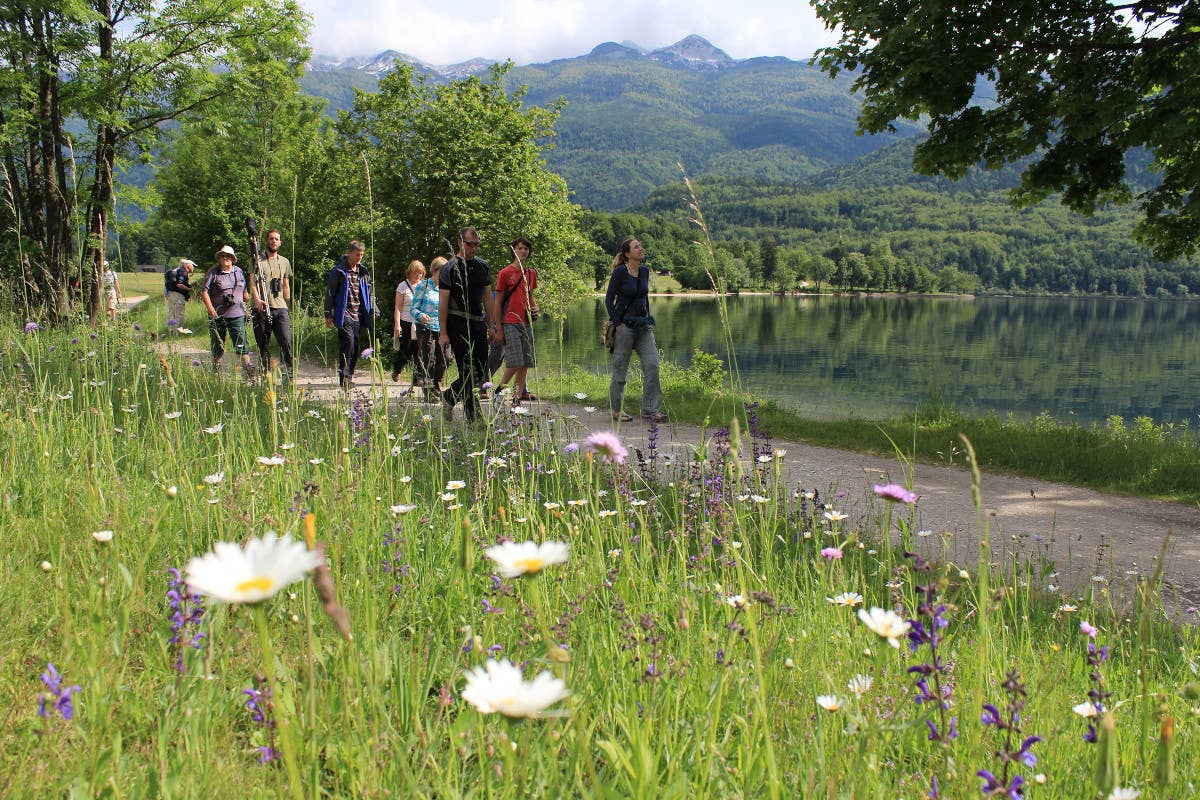 Bohinj: Alpine Pearls – Turizem Bohinj Tanti eventi nelle