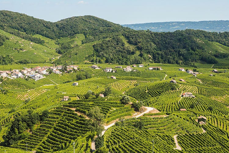 Le colline del Prosecco patrimonio Unesco (Boom di Prosecco all’estero È il vino italiano più esportato)
