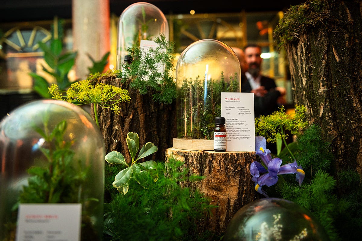 “We look further”, il format sostenibile di The Botanist Gin inizia da Milano