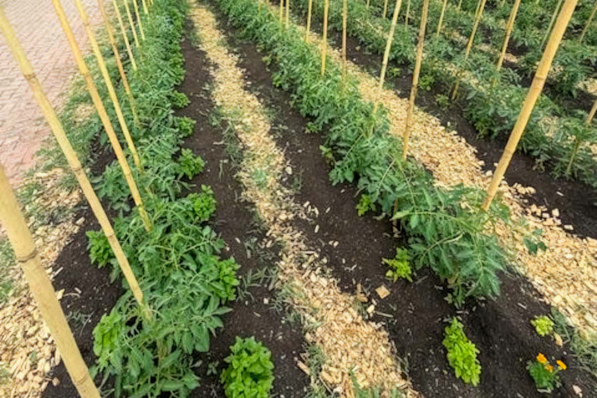 La Cascina delle Esperienze a Cassino Po: turismo, cucina e inclusione sociale La Cascina delle Esperienze a Cassino Po: turismo, cucina e inclusione sociale