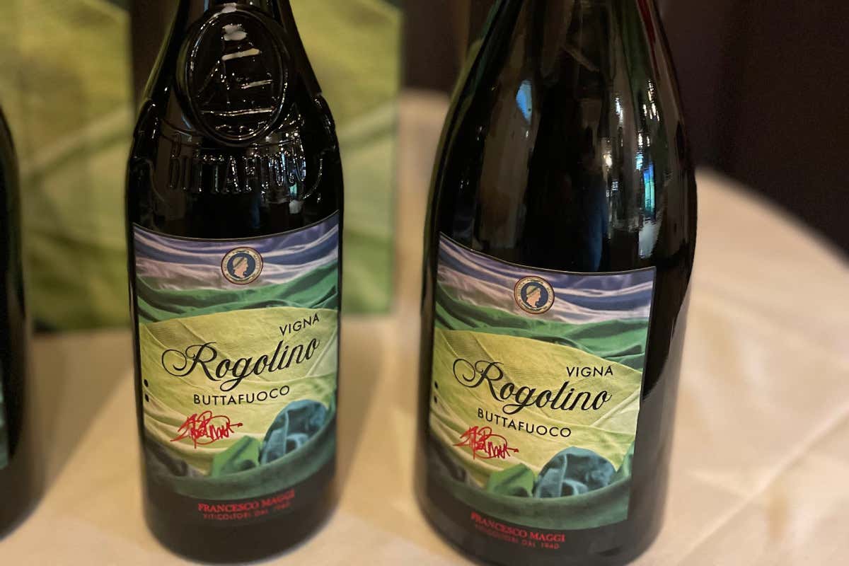 Quando la stoffa diventa vino: l’arte di Bressani per il Buttafuoco Storico