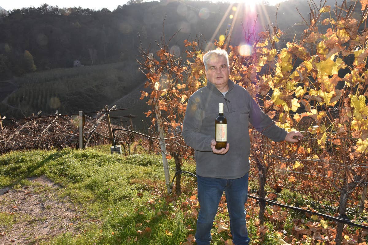 Val di Cembra: viticoltura eroica e sapori antichi tra vigneti terrazzati