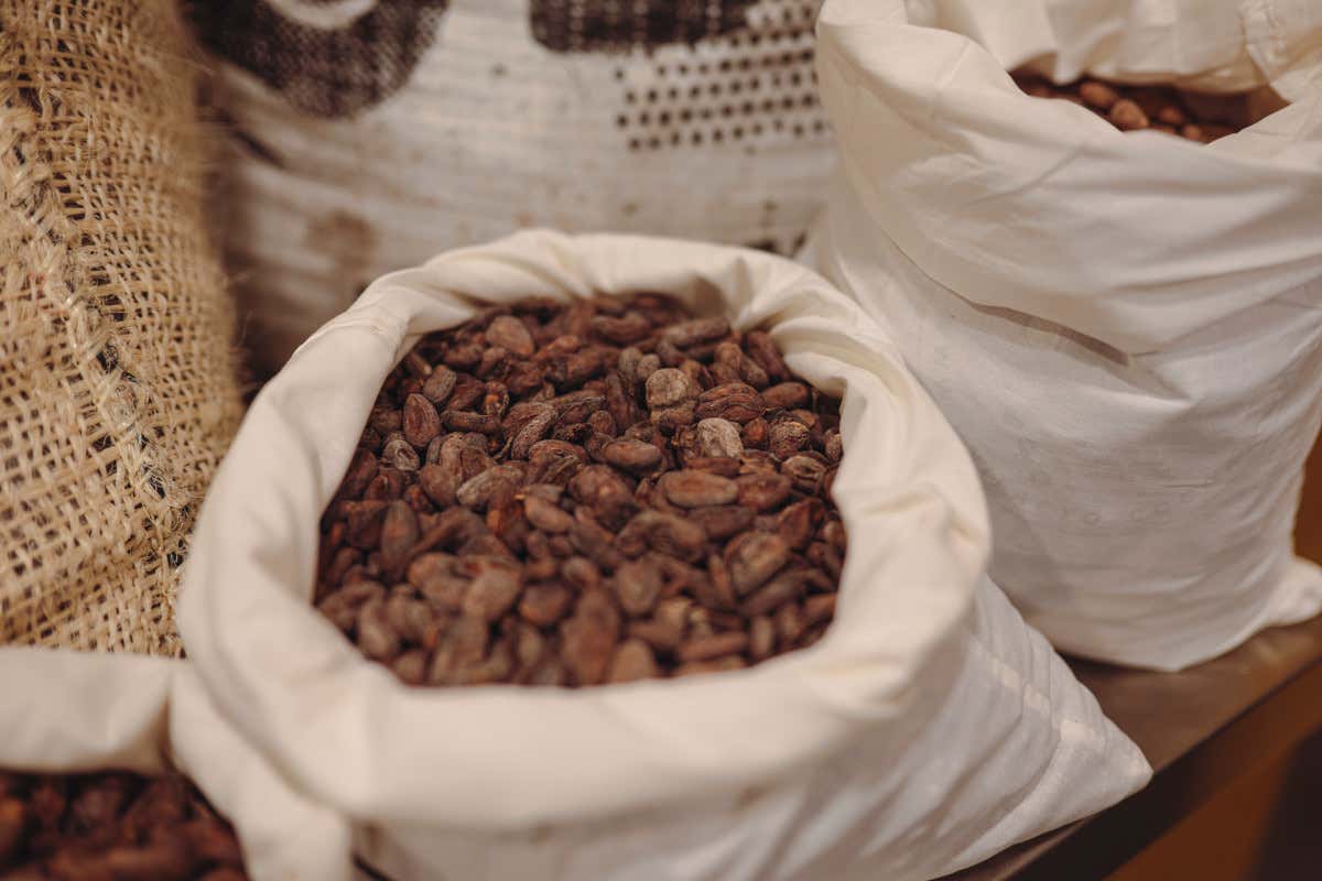 Da Eugenio Guarducci alla Città del Cioccolato: 31 anni di festival a Perugia Da Eugenio Guarducci alla Città del Cioccolato: 31 anni di festival a Perugia