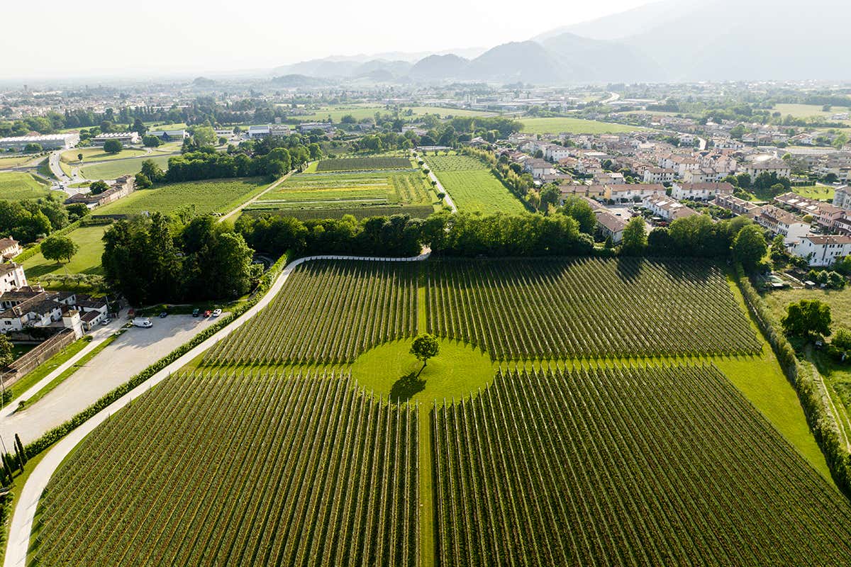 A Natale brinda in modo sostenibile con gli spumanti Piwi di Ca’ da Roman