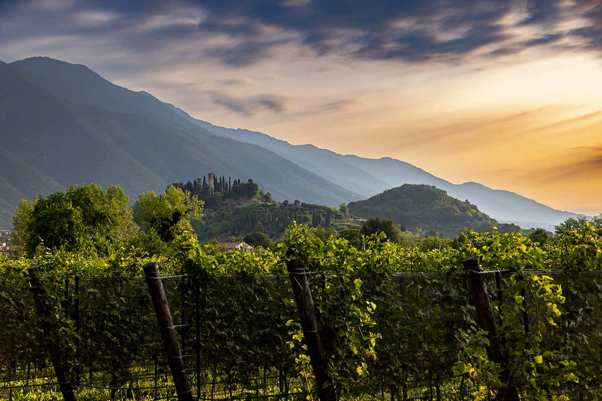 A Natale brinda in modo sostenibile con gli spumanti Piwi di Ca’ da Roman