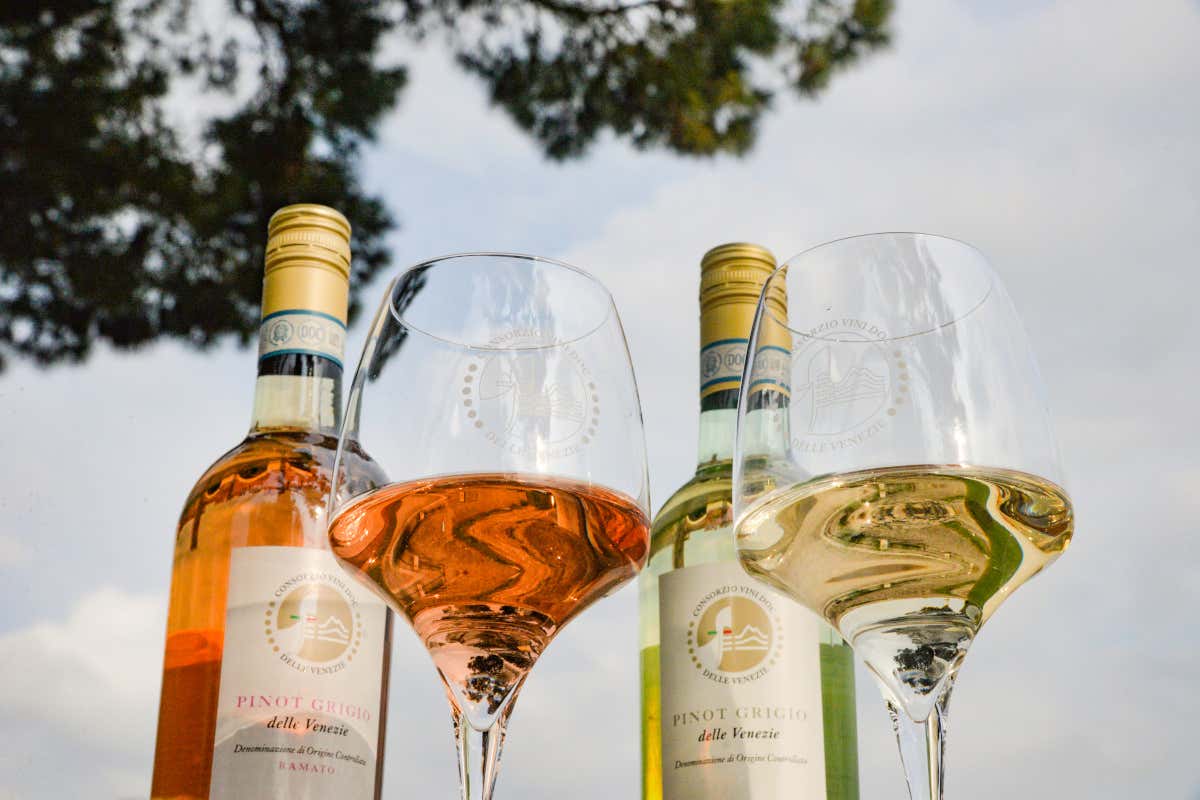 Il Consorzio Doc delle Venezie cambia guida: Luca Rigotti è il nuovo presidente