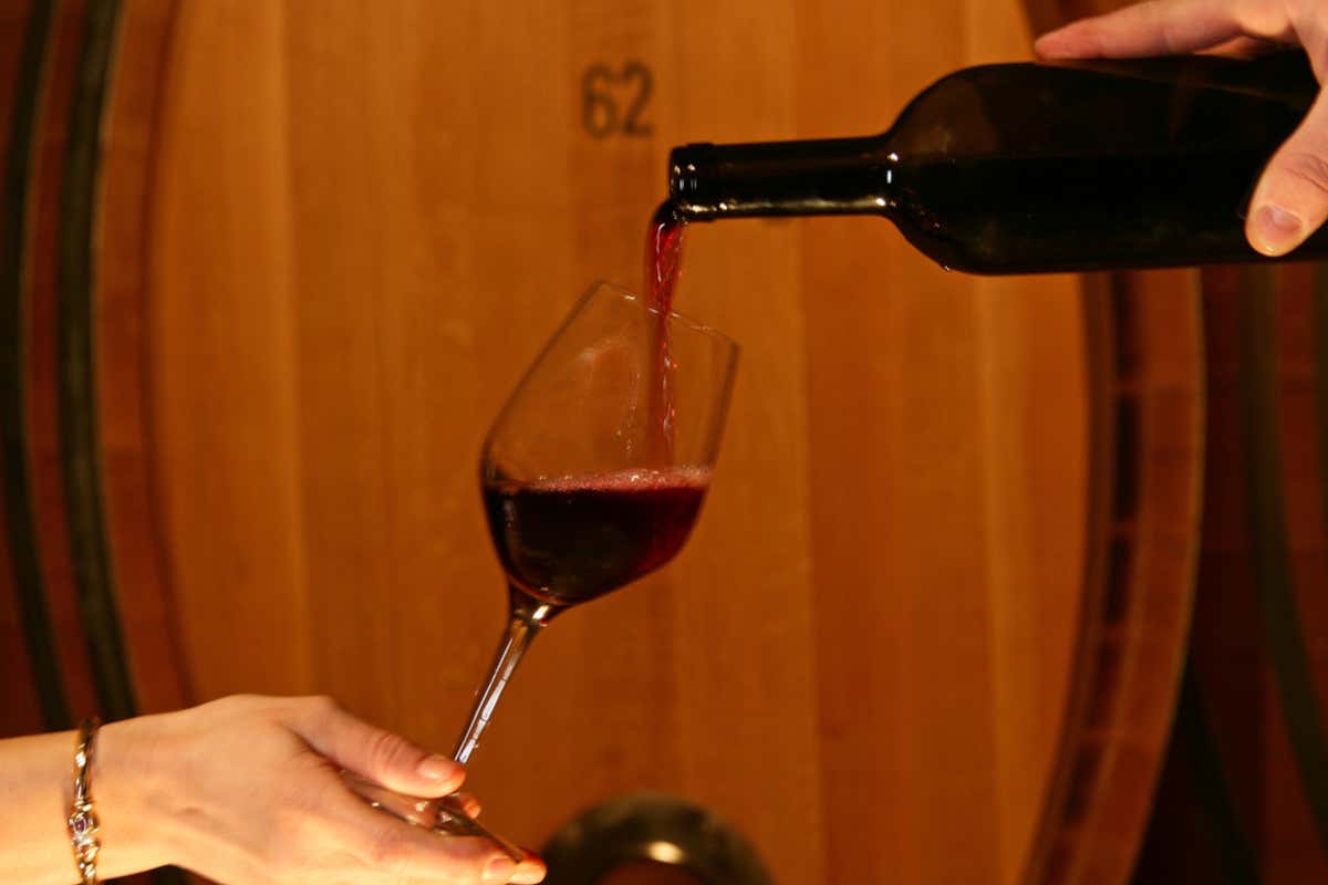 25 anni di Montecucco, Basile: ora l'obiettivo è aumentare imbottigliato e areale 25 anni di Montecucco, Basile: ora l'obiettivo è aumentare imbottigliato e areale