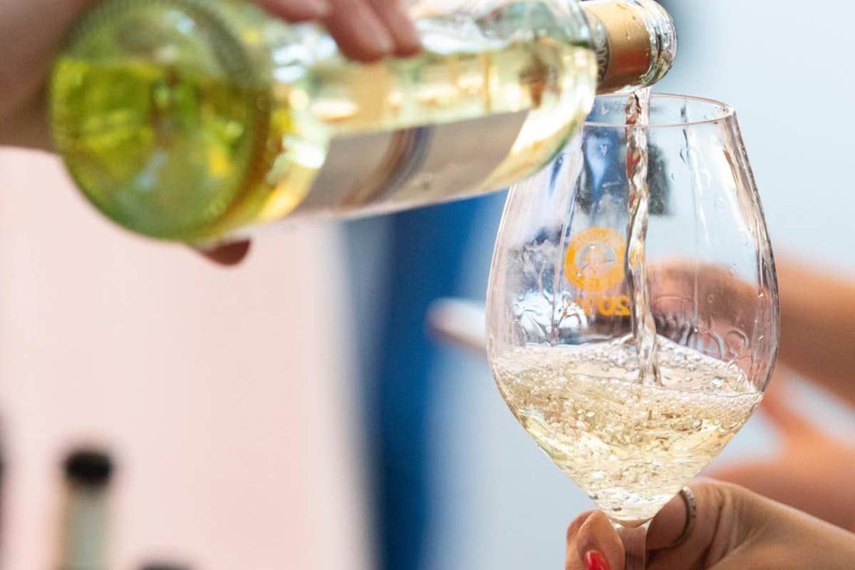 Gavi, il vino “Cortese” che fa il giro del mondo con 13 milioni di bottiglie