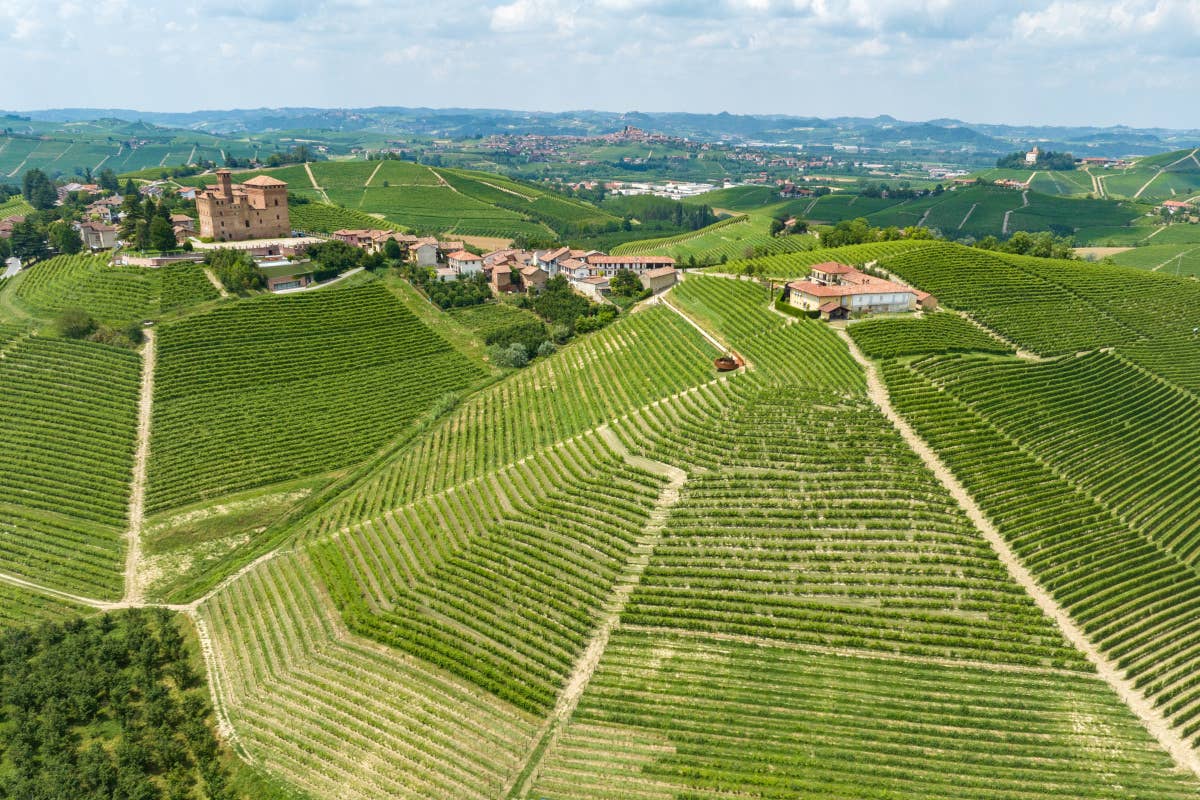 Al castello di Grinzane torna Barolo en Primeur: vino, arte e solidarietà