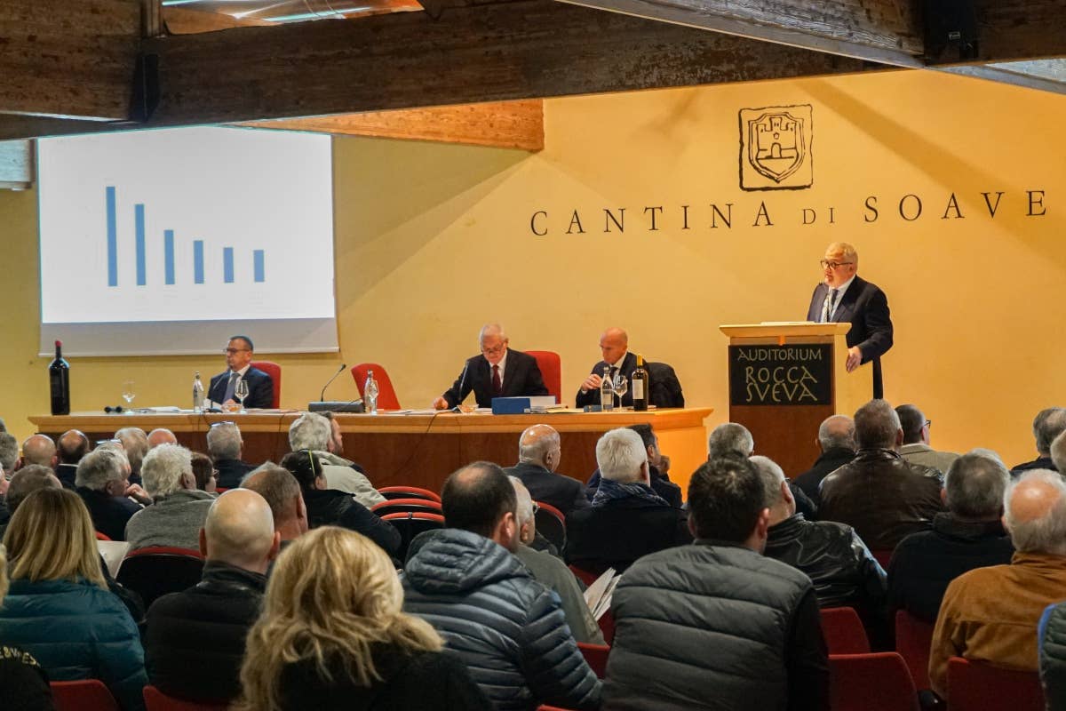 Cadis 1898 chiude in crescita. Gabriele Posenato, nuovo presidente