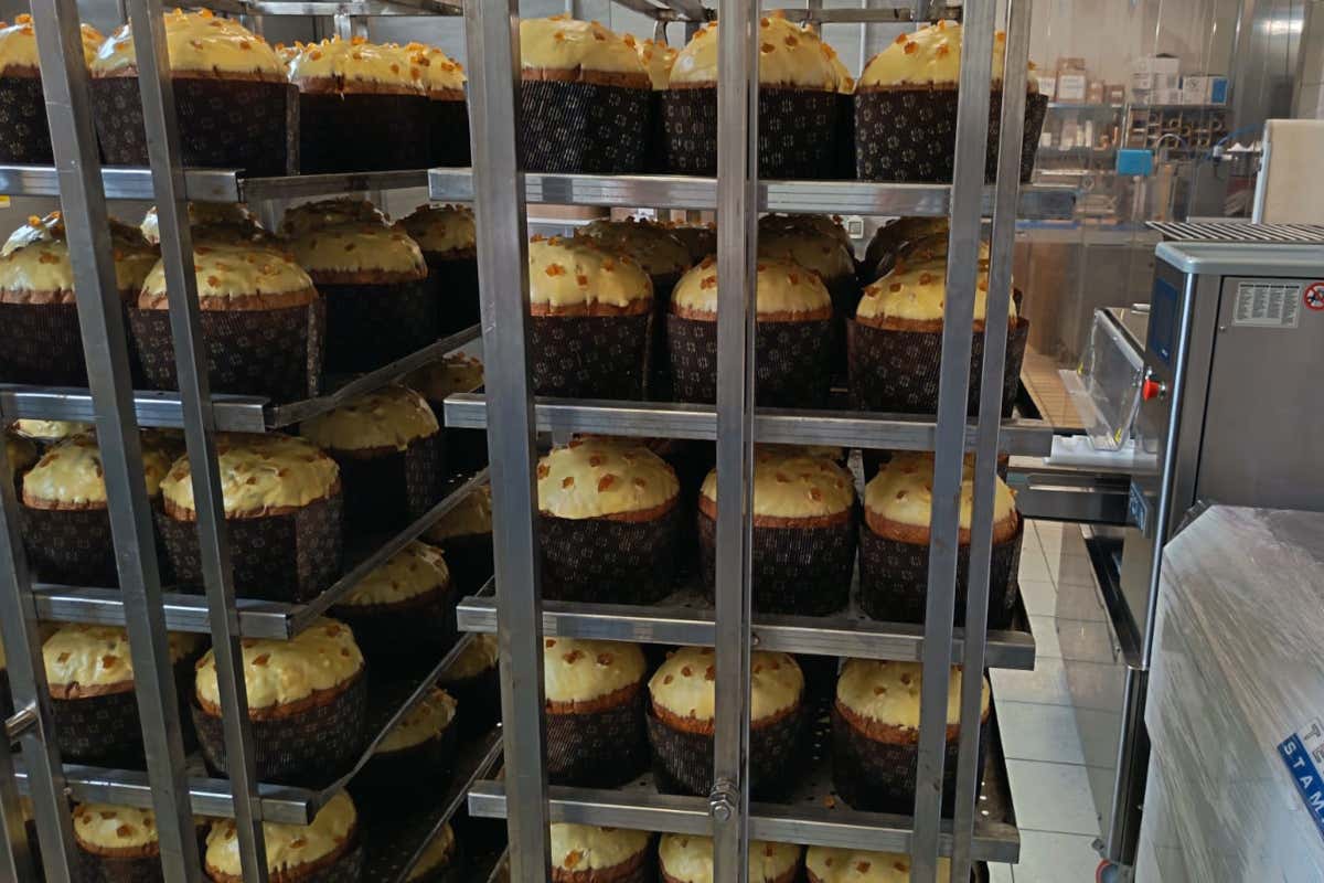 Non chiamatela pasticceria: il laboratorio di Cannavacciuolo è una macchina da guerra (dolce) Non chiamatela pasticceria: il laboratorio di Cannavacciuolo è una macchina da guerra (dolce)