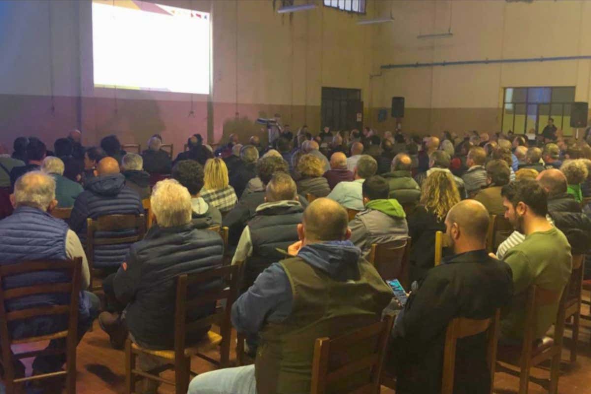 Ermes in Oltrepò: ecco i nuovi progetti per la cantina sociale di Canneto Pavese