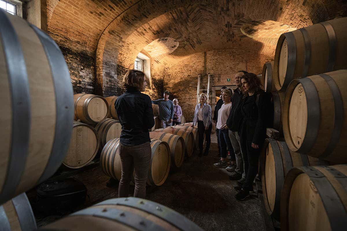 Cantina Marchesi Alfieri. Foto: Alessandro Sgarito. Archivio Ente Turismo LMR Pasqua in van? Direzione Piemonte!