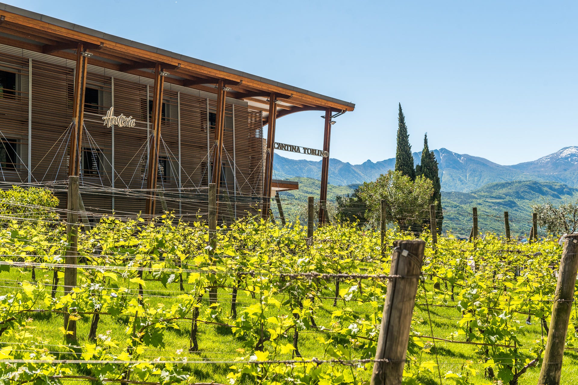 Cantina Toblino Progetto Impetus: Cantina Toblino al lavoro per una viticultura sostenibile