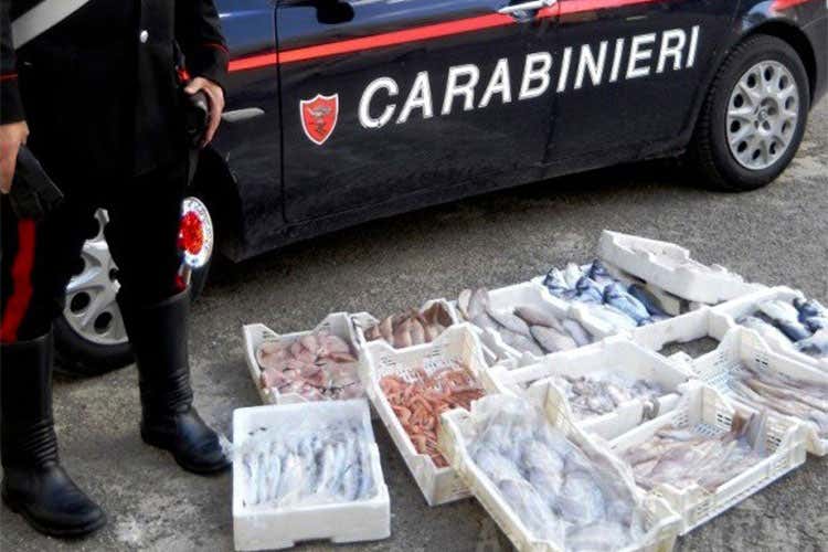 (Carabinieri in difesa dei consumatori Un Comando per la tutela agroalimentare) (Carabinieri in difesa dei consumatori Un Comando per la tutela agroalimentare)