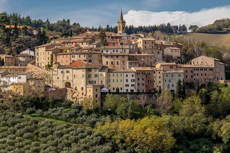 (A Cartoceto si celebra l’olio Dop Due weekend di degustazioni) (A Cartoceto si celebra l’olio Dop Due weekend di degustazioni)