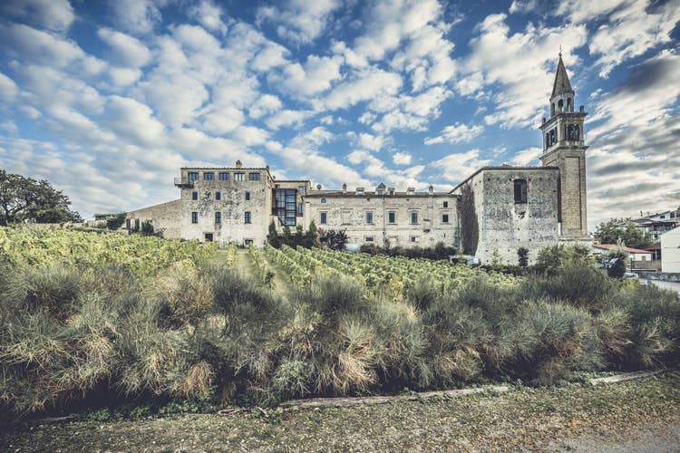 (Castello di Semivicoli a Casacanditella Un viaggio tra i vini di Masciarelli)