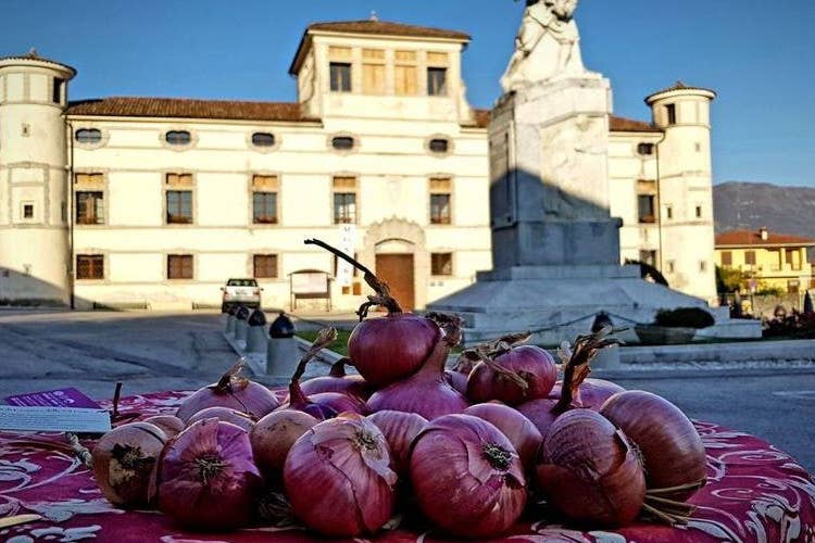 La cipolla rossa di Cavasso. Sullo sfondo il Palazat (XVI secolo), sede del municipio. Ai Cacciatori, la trattoria del cuore a Cavasso