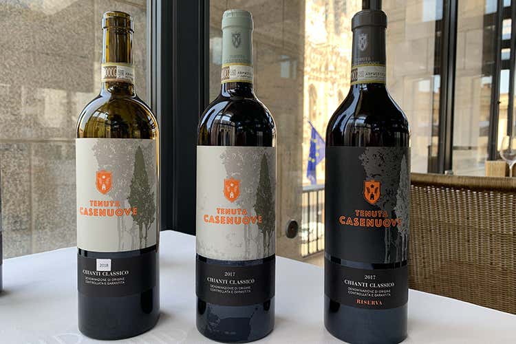 I Chianti Classico Tenuta Casenuove La rinascita di Tenuta Casenuove Nuovo impulso nel Chianti Classico
