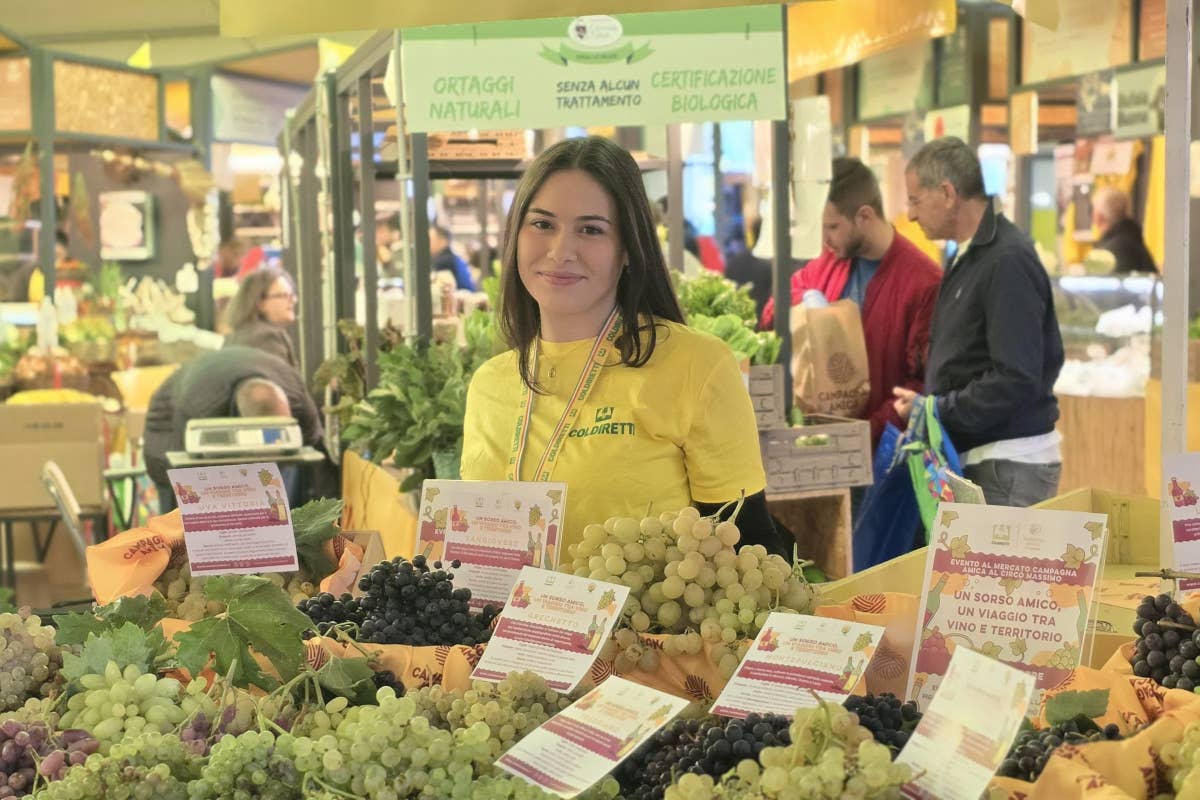 a Giornata nazionale dell’uva, celebrata dalla Coldiretti in tutti i mercati di Campagna Amica Vino: il 46% degli italiani lo vede come simbolo di cultura e territorio