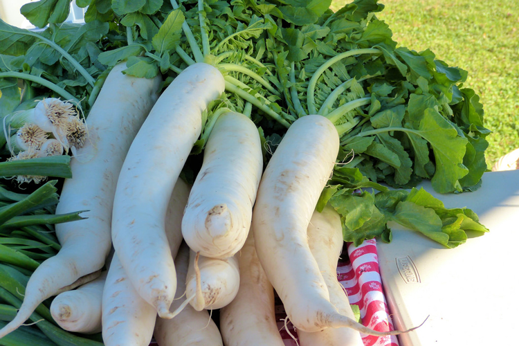 (Cucina orientale, i 10 cibi salutari)