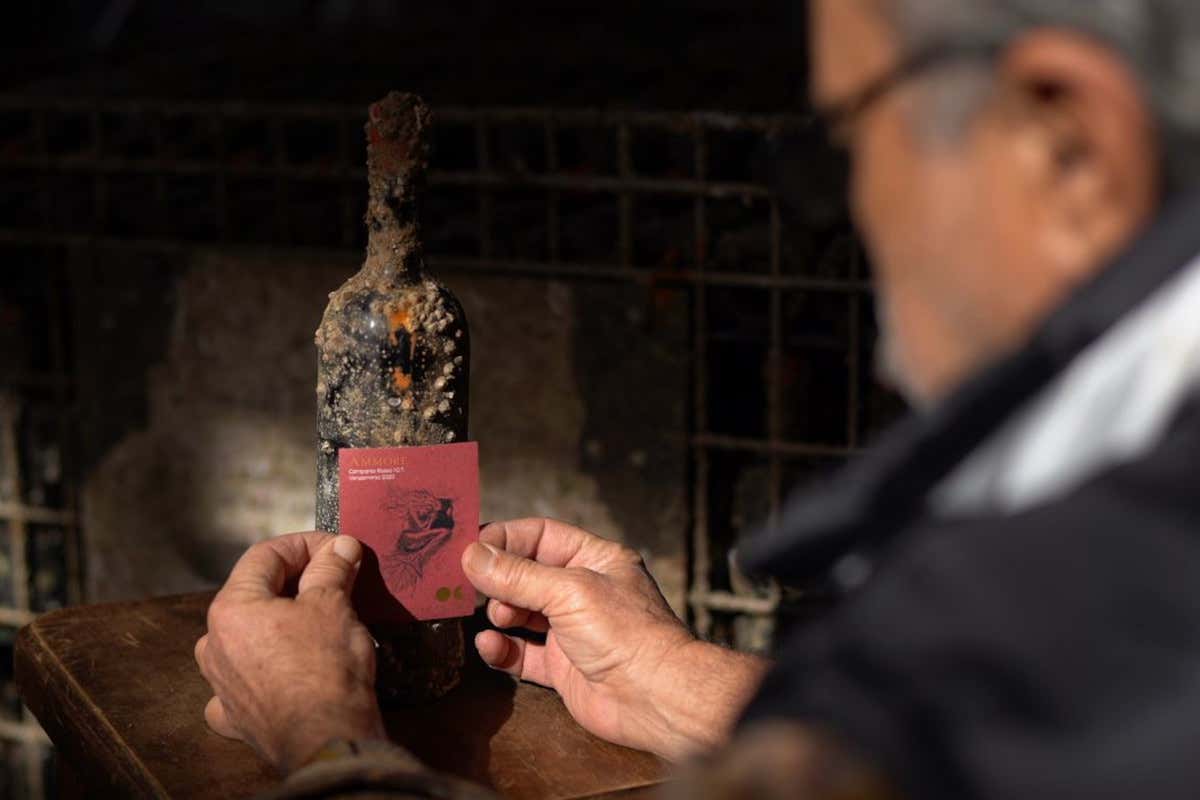 Affinamento subacqueo: cosa cambia nel vino dopo un anno nel Golfo di Napoli Affinamento subacqueo: cosa cambia nel vino dopo un anno nel Golfo di Napoli