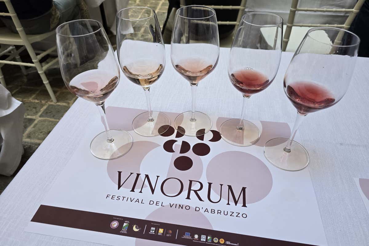 Abruzzo, tra storia e vino: il potenziale ancora da esplorare del Cerasuolo Abruzzo, tra storia e vino: il potenziale ancora da esplorare del Cerasuolo