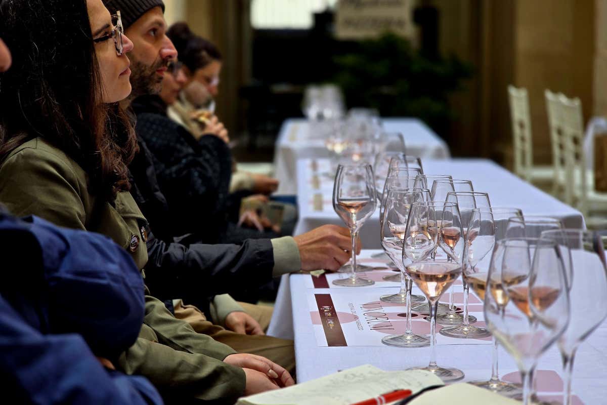 Abruzzo, tra storia e vino: il potenziale ancora da esplorare del Cerasuolo Abruzzo, tra storia e vino: il potenziale ancora da esplorare del Cerasuolo