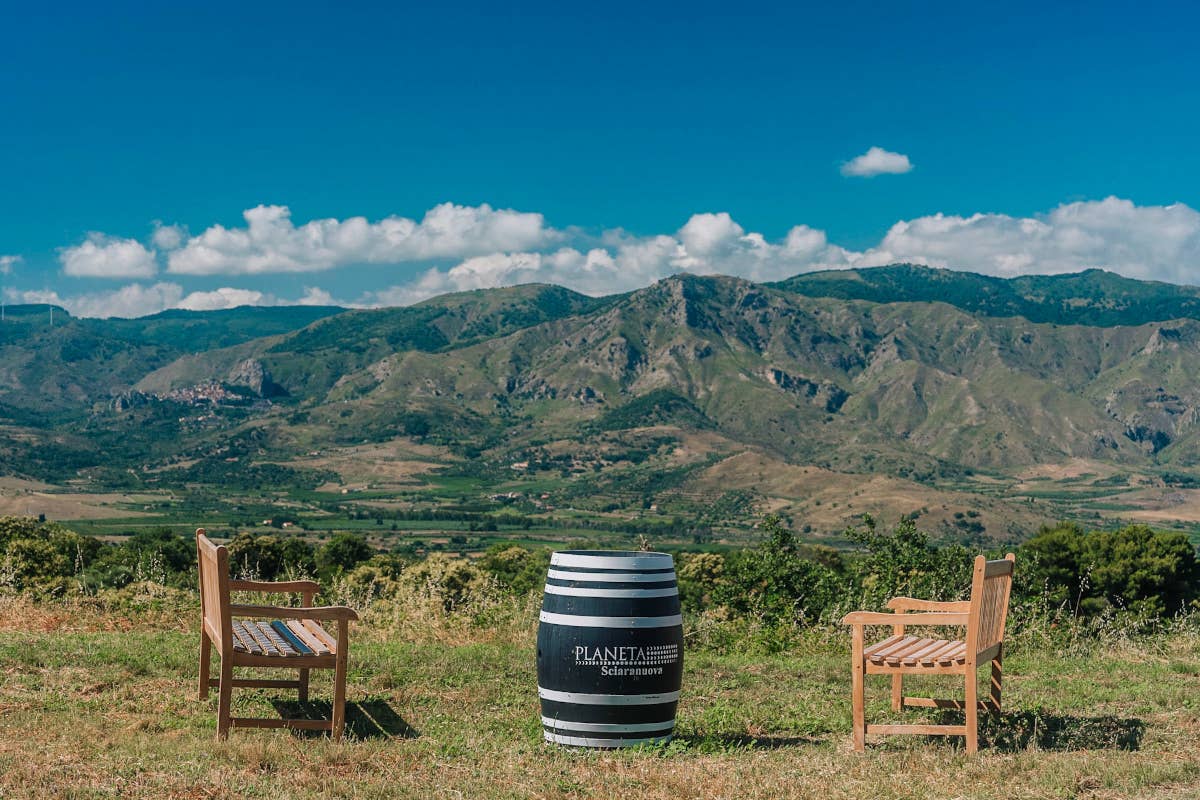 L'intervista a Planeta: «Il vino è cultura. Il futuro? Nell'enoturismo»