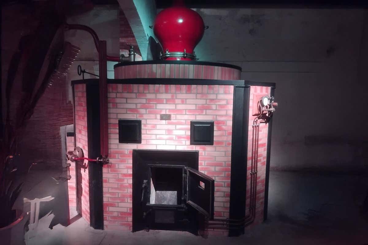 Alla scoperta del Cognac: il distillato nobile dimenticato dai barman moderni