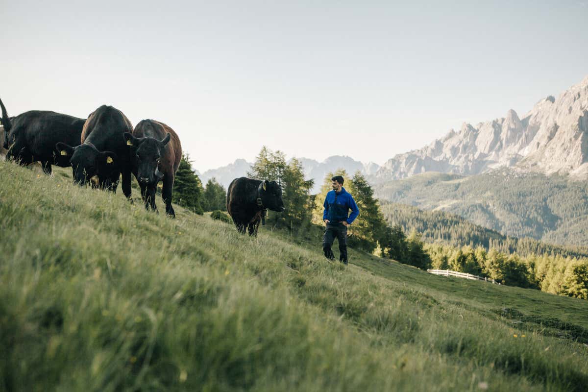 Vacanza green in Val Pusteria: al Leitlhof si vive l'estate tra natura e benessere Vacanza green in Val Pusteria: al Leitlhof si vive l'estate tra natura e benessere