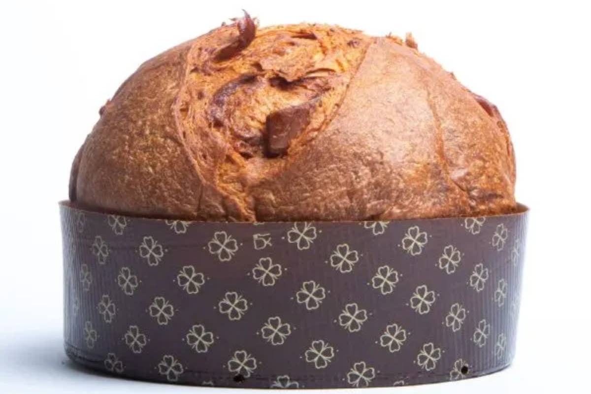 Natale 2024, non solo tradizione: arriva la rivoluzione pop del panettone