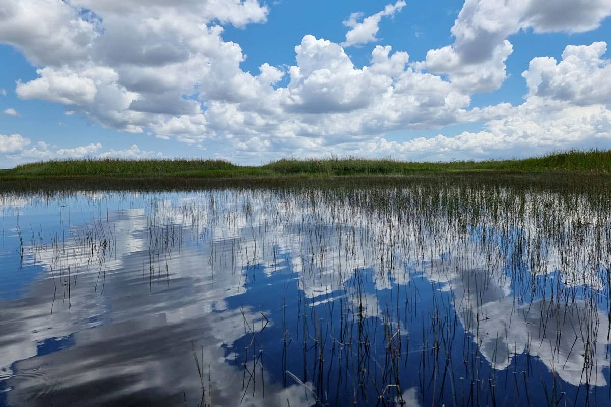 Miami: un'esperienza sensoriale tra arte urbana, fascino retrò e delizie culinarie