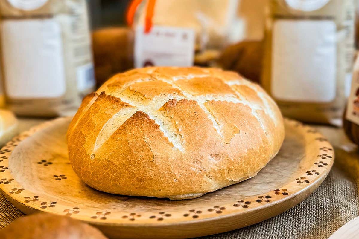Storo, non solo polenta: la farina bianca protagonista alla 