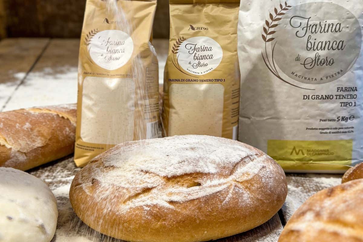 Storo, non solo polenta: la farina bianca protagonista alla 