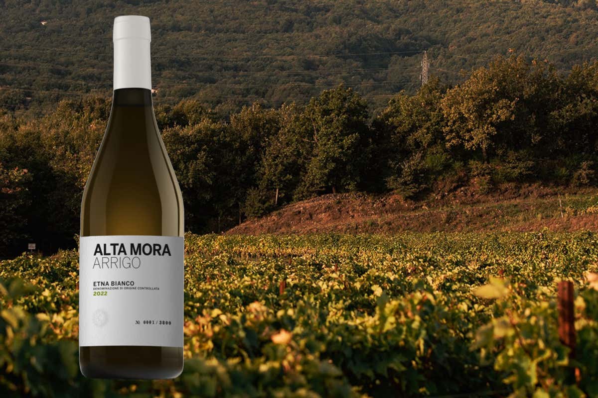 Alta Mora lancia Arrigo: il nuovo Carricante dell’Etna firmato Cusumano