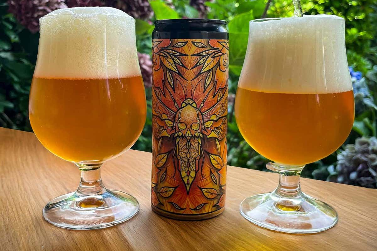 Antikorpo Brewing, Ipa visionarie e gluten free che non rinunciano al carattere