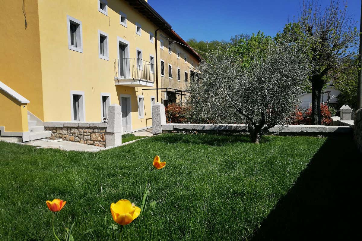 Alla scoperta del Carso autentico tra natura, tradizione e sapori