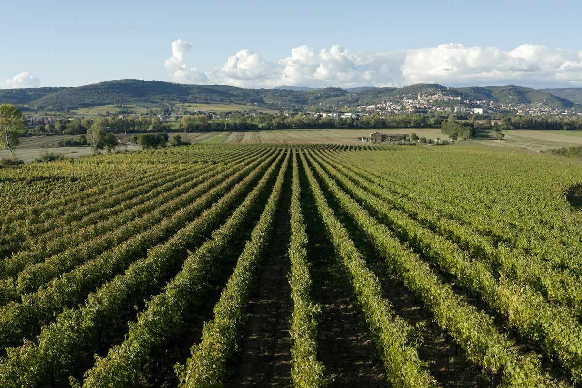 Umbria in rosa: la 9ª tappa del Giro d'Italia tra Gubbio e Siena Umbria in rosa: la 9ª tappa del Giro d'Italia tra Gubbio e Siena