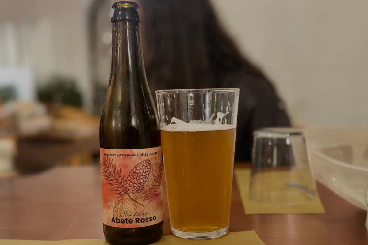Birrificio Bionoc: l’abete rosso delle Dolomiti entra nella birra artigianale trentina
