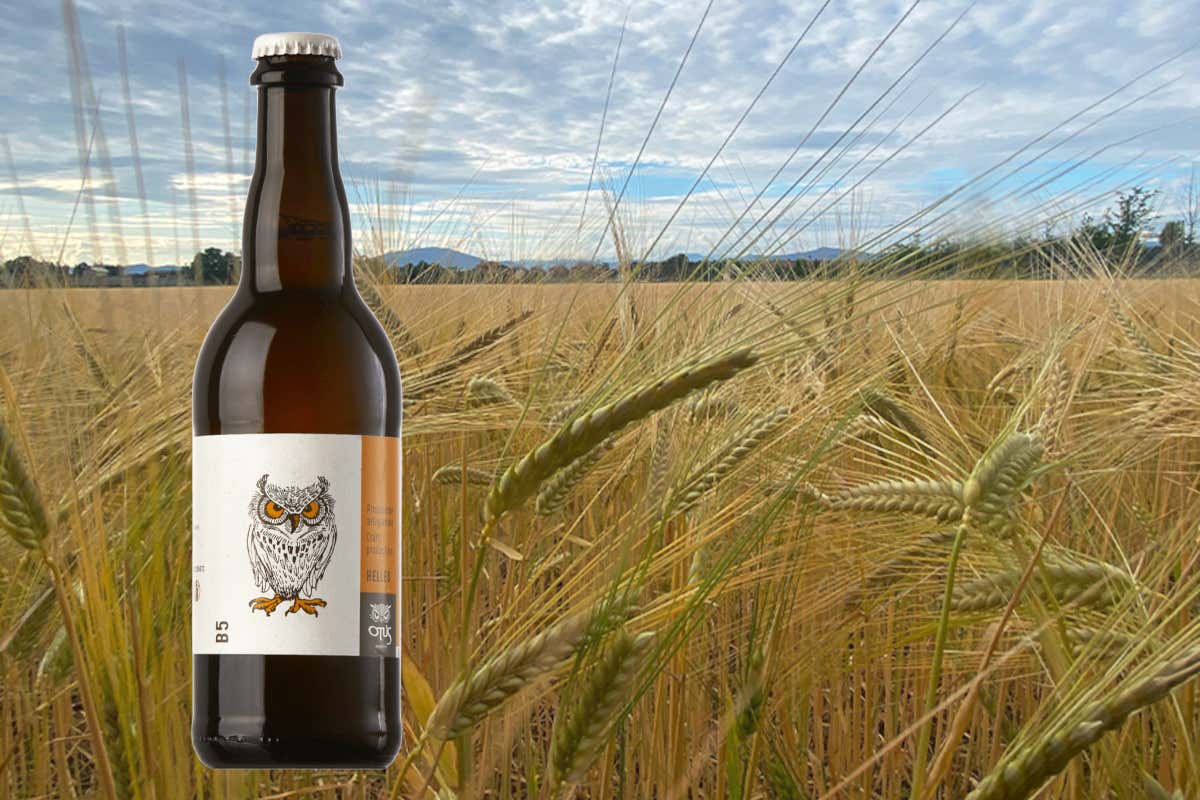 Birrificio Otus: birre artigianali tra pane recuperato e stili classici europei Birrificio Otus: birre artigianali tra pane recuperato e stili classici europei