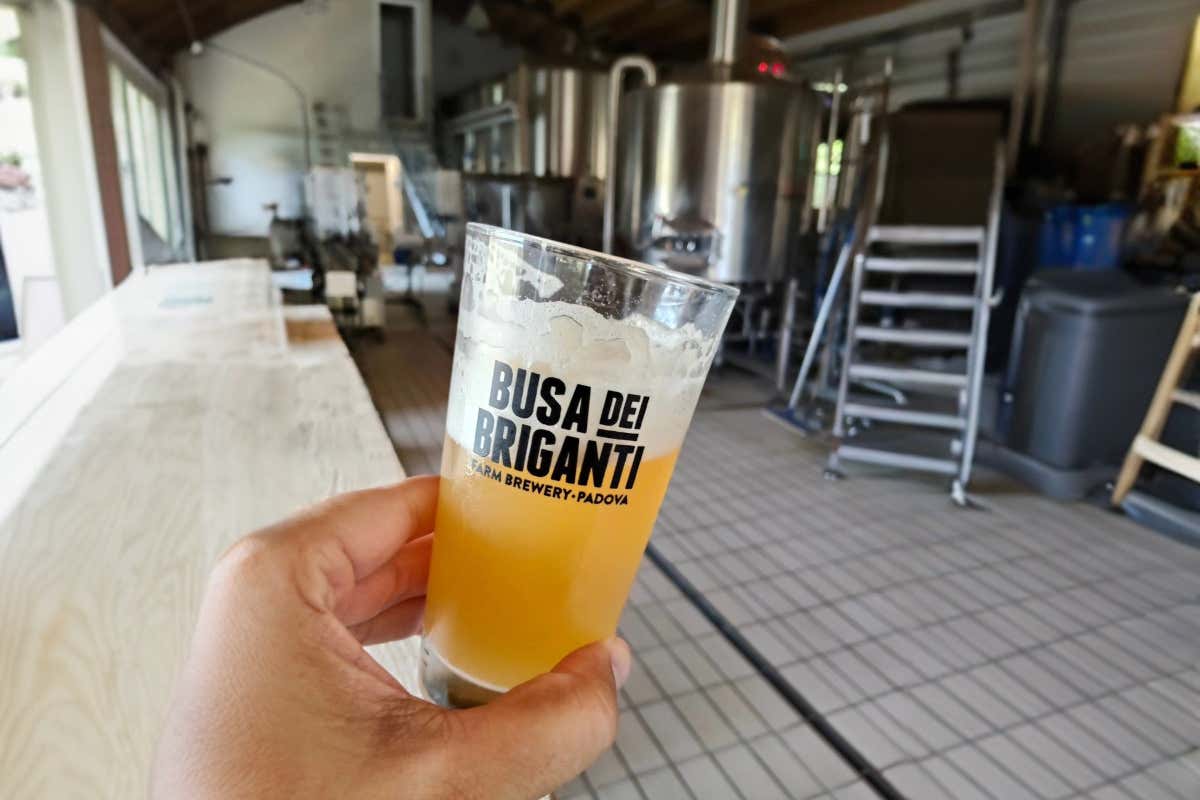 Busa dei Briganti: la storia della grotta che ispira birre artigianali a Padova Busa dei Briganti: la storia della grotta che ispira birre artigianali a Padova